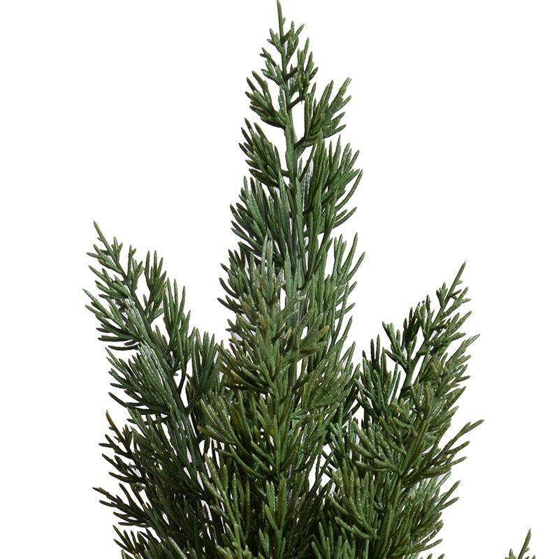 Italian Cypress 20" Cone-shaped Planting in Rustic Terracotta