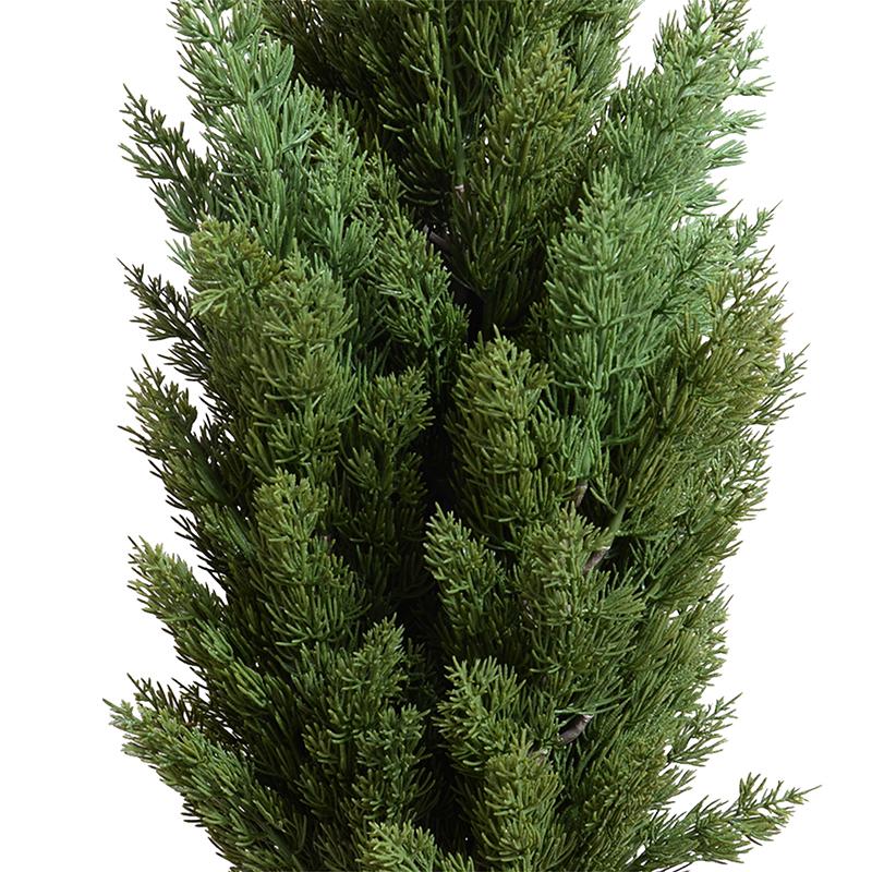 Italian Cypress tree - 44"H