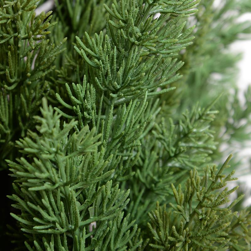 Italian Cypress tree - 44"H