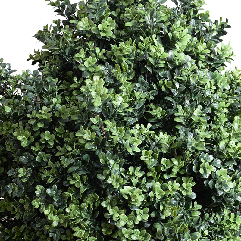Boxwood Shrub, 38"H