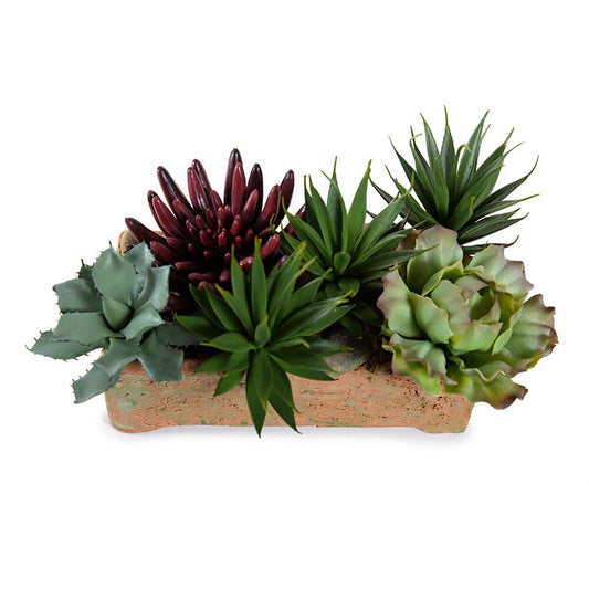 Mixed Succulents in Rustic Terracotta