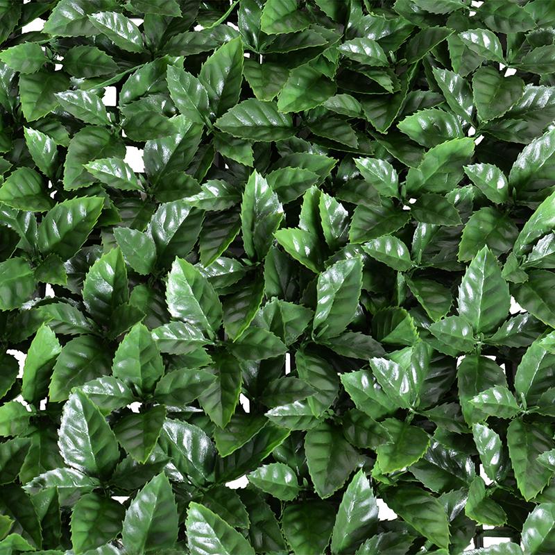 21" Ligustrum Panel (Aucuba Rozannie)