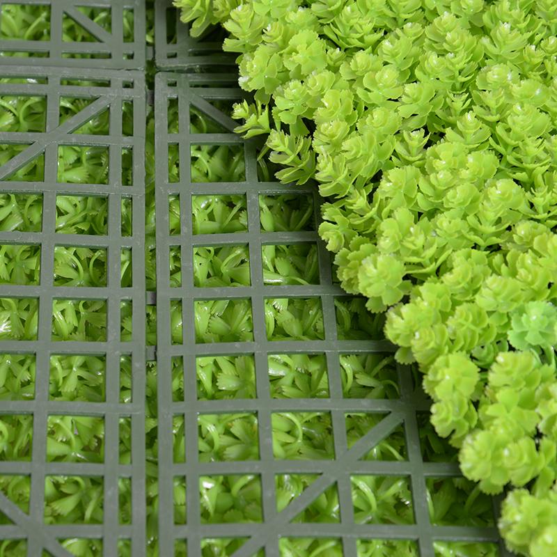 21" Sedum Panels