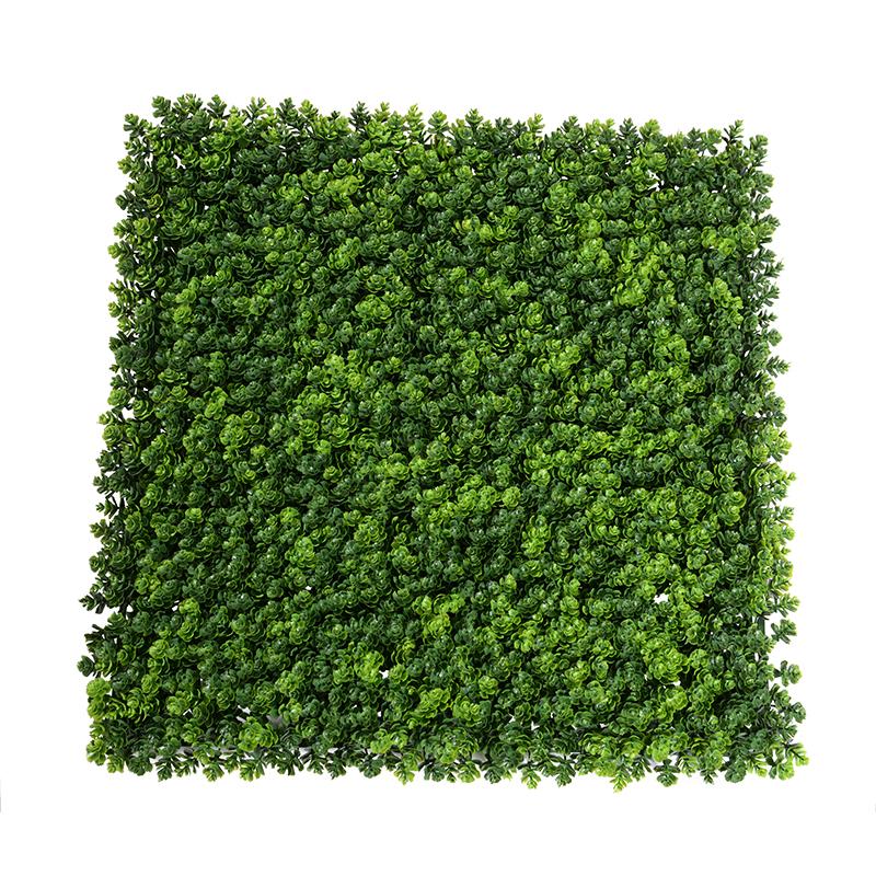 21" Sedum Panels