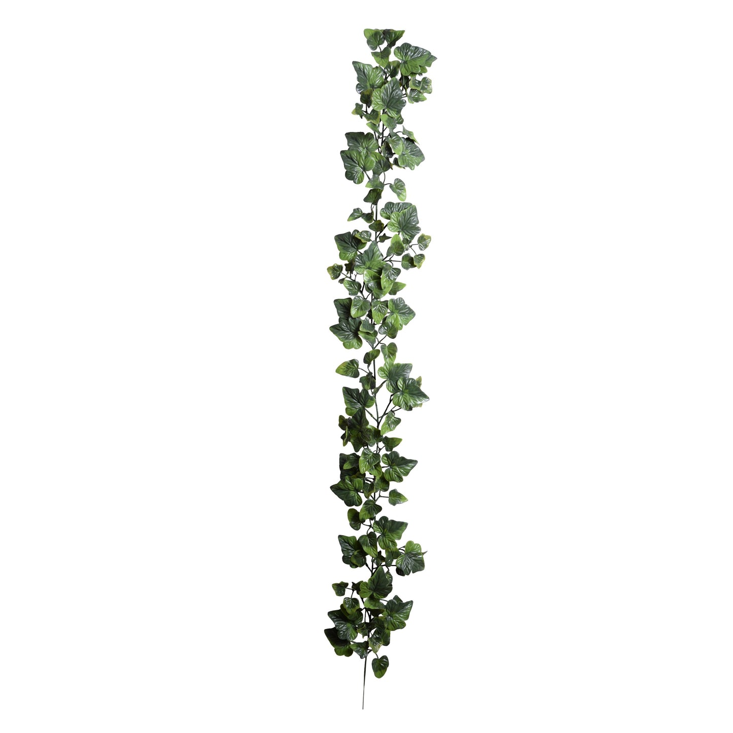 Ivy Garland, 6'L