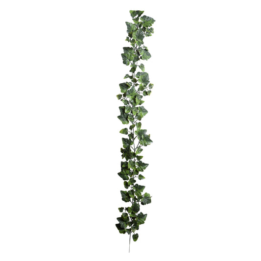 Ivy Garland, 6'L