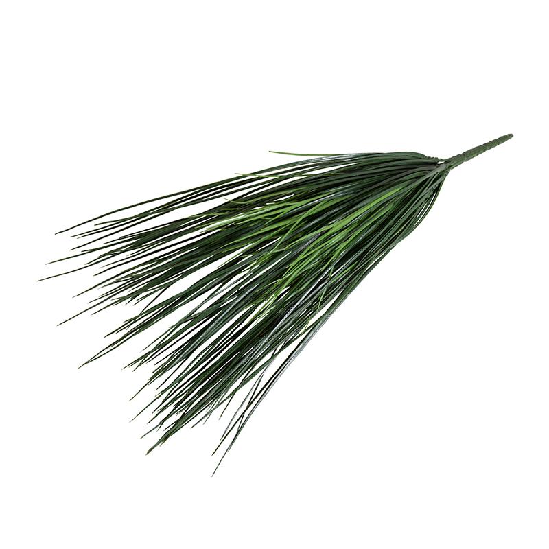 Onion Grass Spray