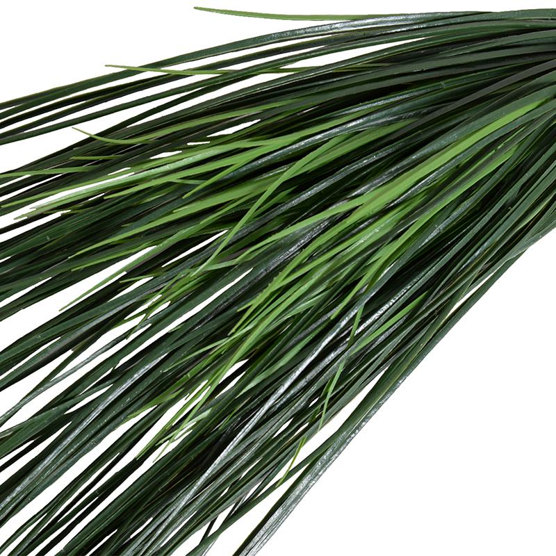 Onion Grass Spray