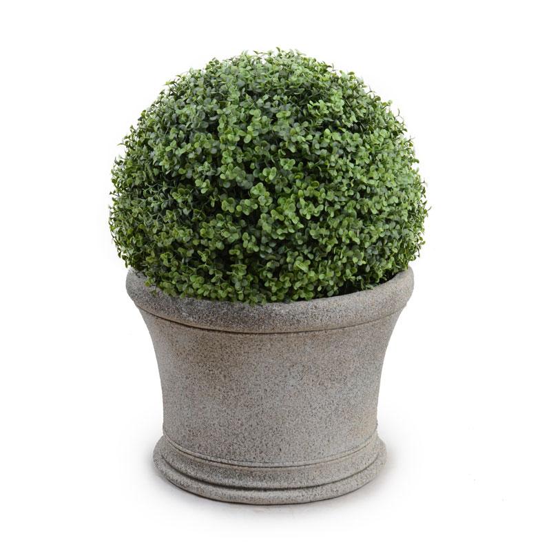 15" Boxwood Drum Topiary - New Growth Designs