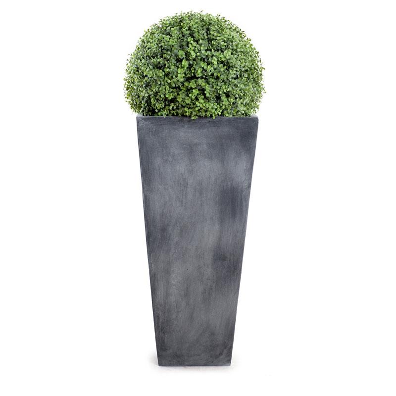 15" Boxwood Ball in Tapered Pot - New Growth Designs
