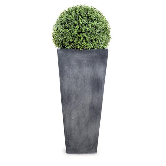 15" Boxwood Ball in Tapered Pot - New Growth Designs
