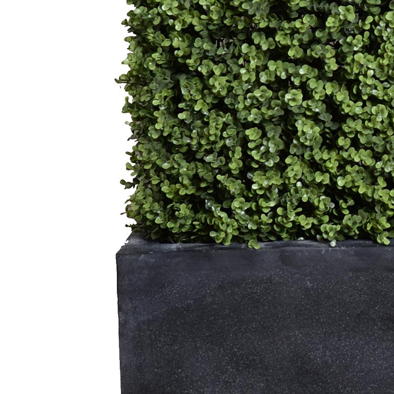 42" Boxwood Hedge with planter