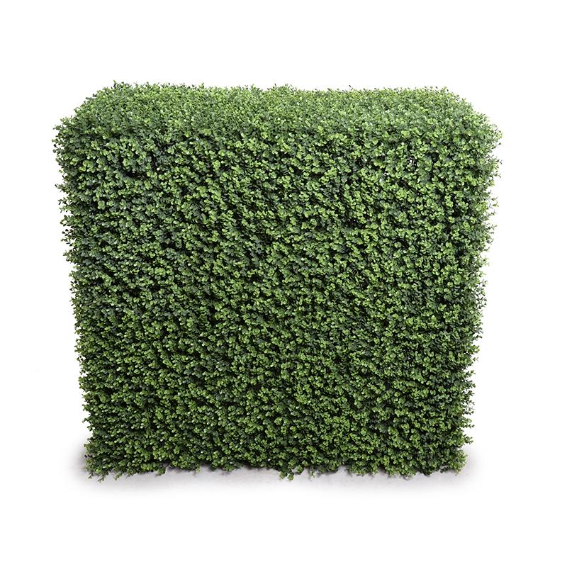 42"L Boxwood Hedge (Extra Wide)