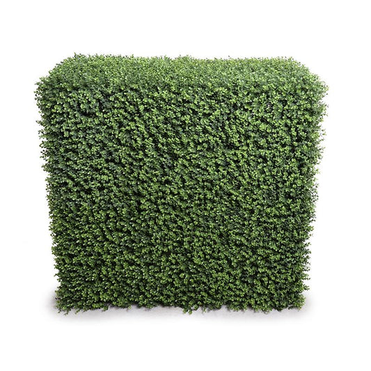 42"L Boxwood Hedge (Extra Wide)