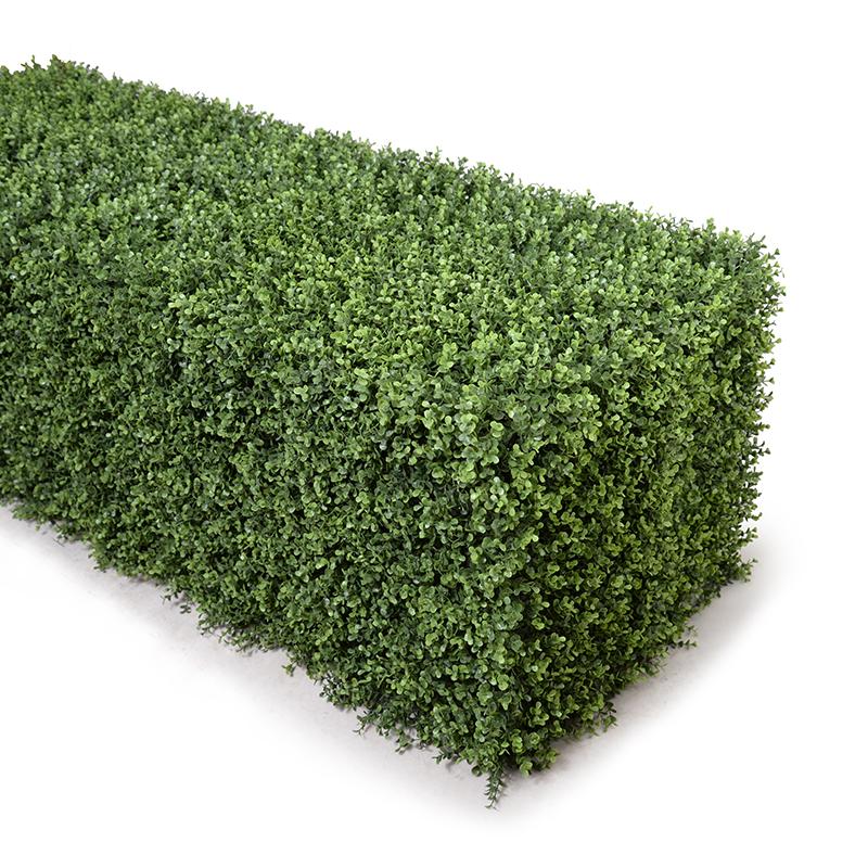 62" Boxwood Hedge (Extra Wide)
