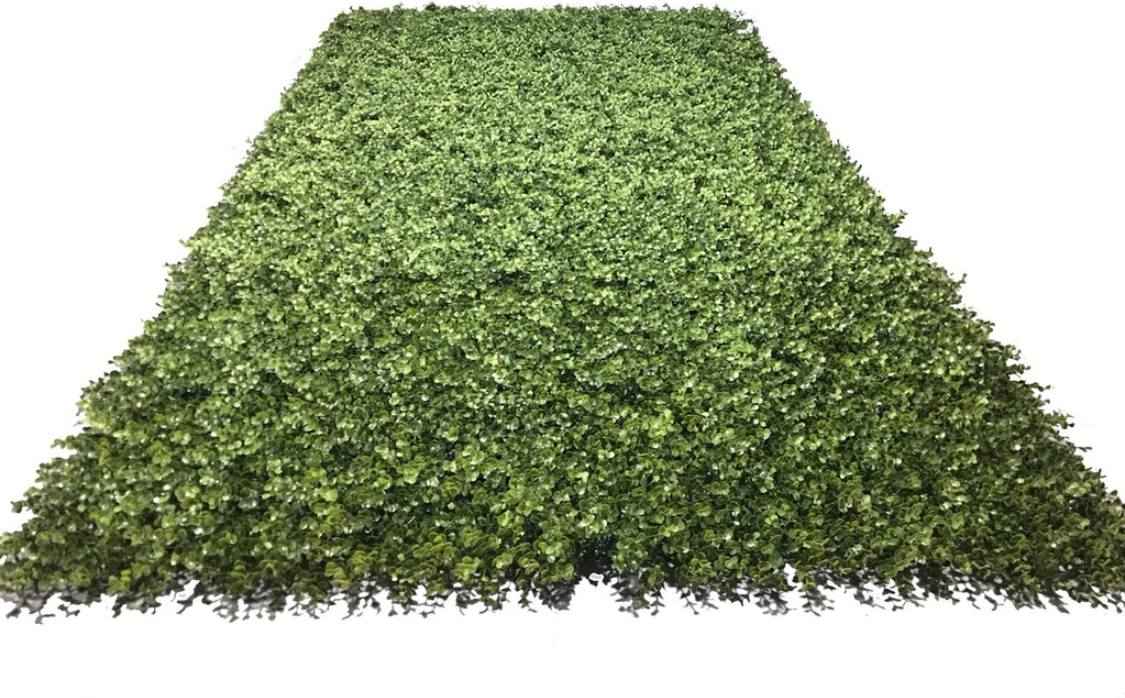 4'W x 8'H Boxwood Wall Panel (Roll)