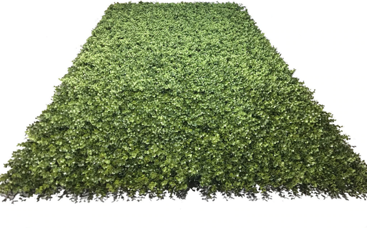 4'W x 8'H Boxwood Wall Panel (Roll)