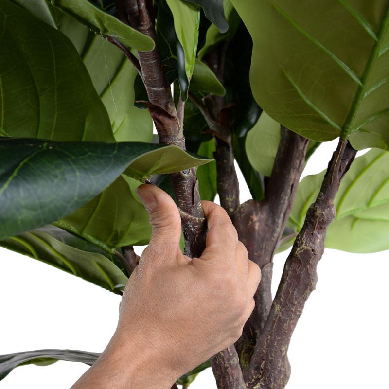 Fiddle-Leaf Fig Tree, 10' - New Growth Designs