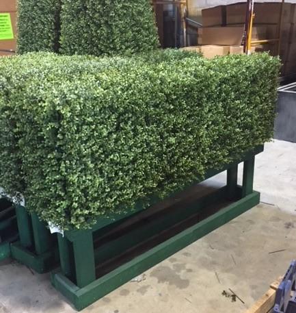 Boxwood Custom-made Hedges, Shapes and Frames - New Growth Designs
