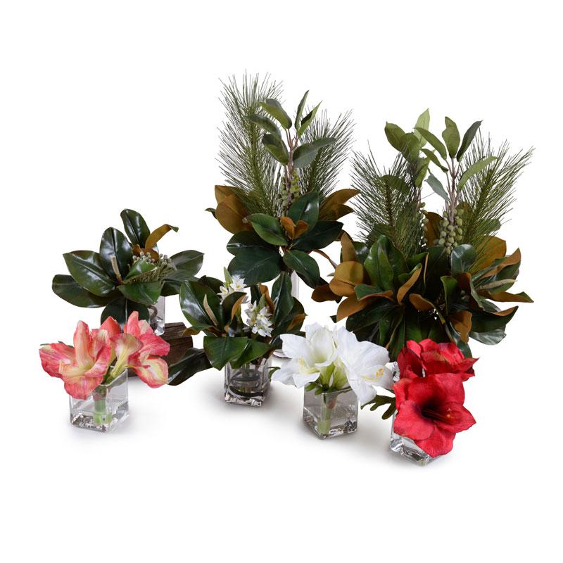 Magnolia, Pine, Berry