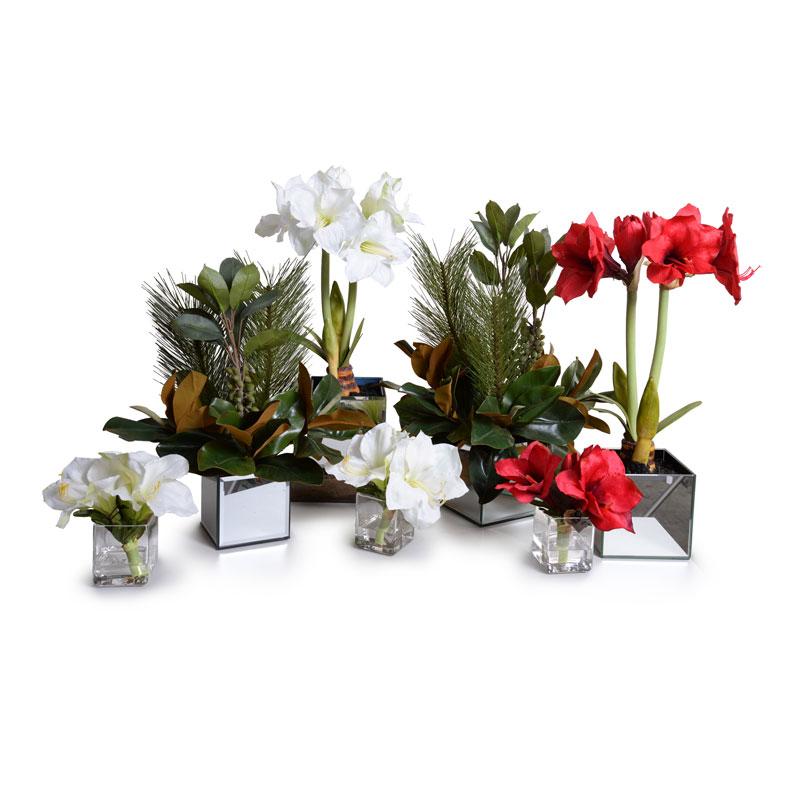 Magnolia, Pine, Berry