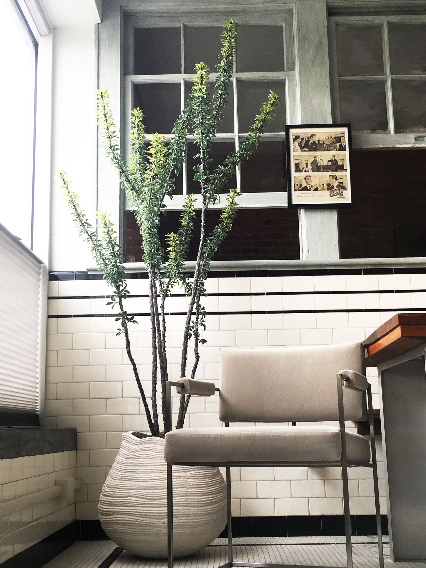 Planter sold separately.