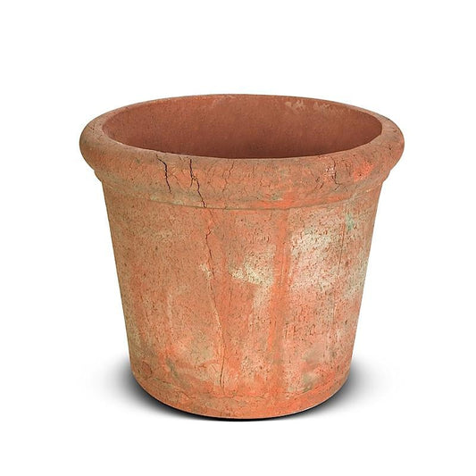 12" Tree Planter -Rimmed - New Growth Designs