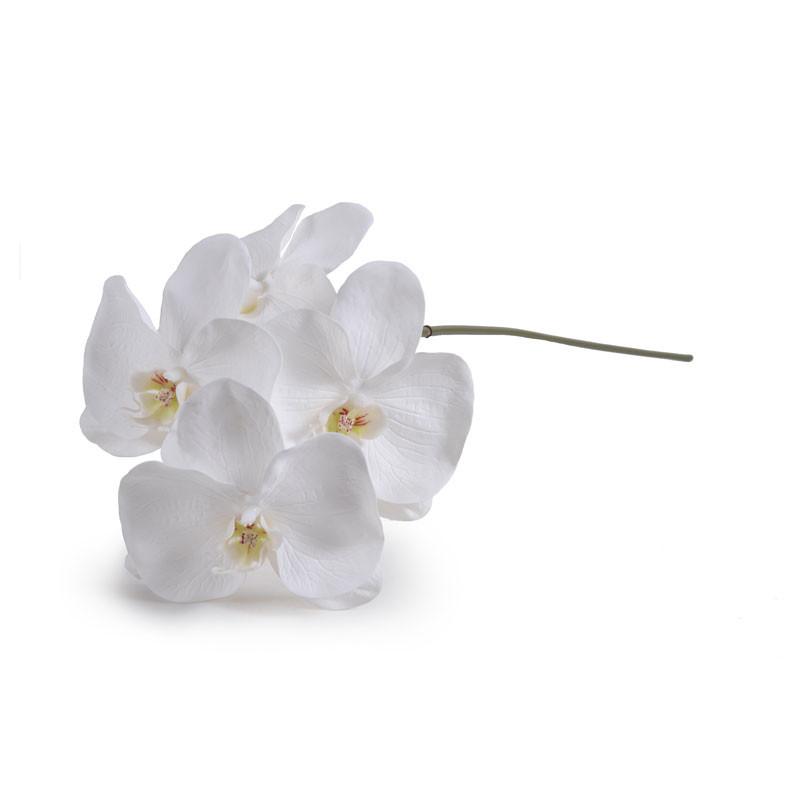 Phalaenopsis Orchid stem x 4, 26"L