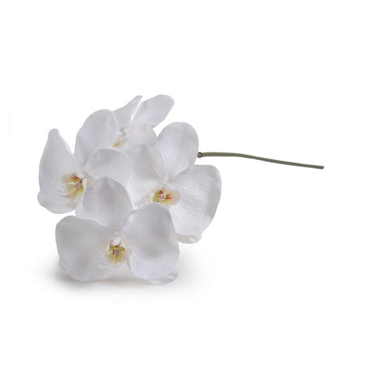 Phalaenopsis Orchid stem x 4, 26"L