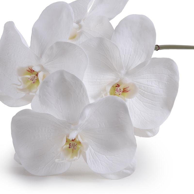 Phalaenopsis Orchid stem x 4, 26"L
