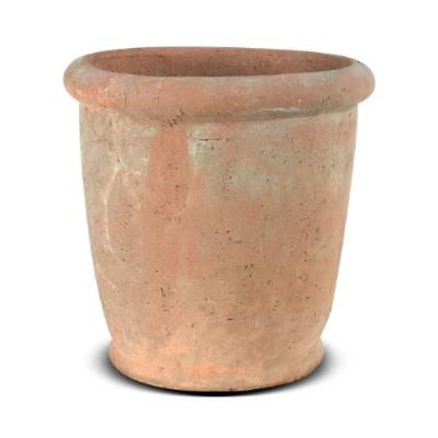 Rimmed 12" Terracotta Planter
