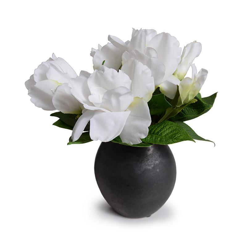 Natural Touch Gardenia in Ceramic Egg Vase