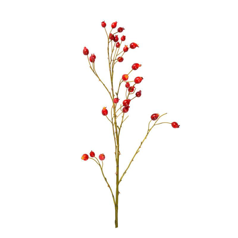 Rosehip Stem