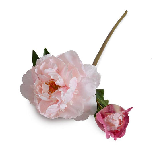 Peony Stem with Bud, Large