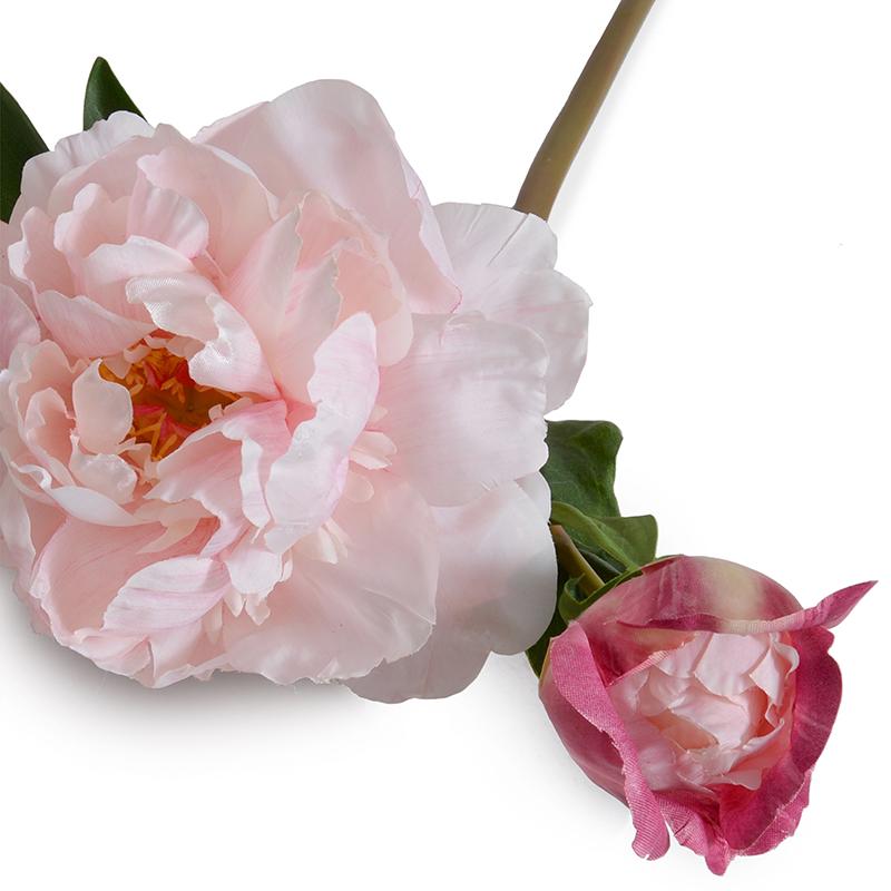 Peony Stem with Bud, Large