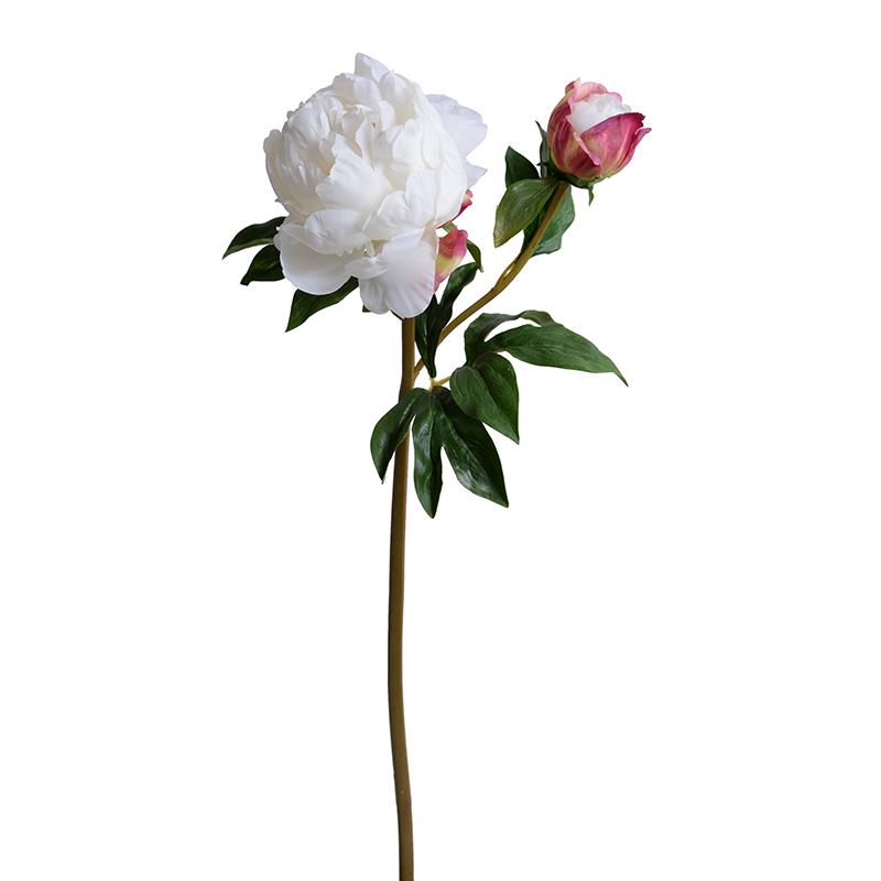Peony Stem with Bud, Large