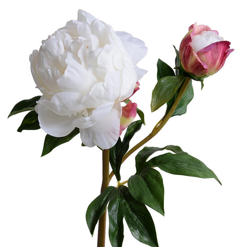 Peony Stem with Bud, Large