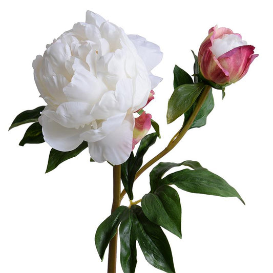 Peony Stem with Bud, Large