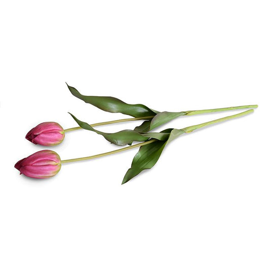 Tulip Stem, French