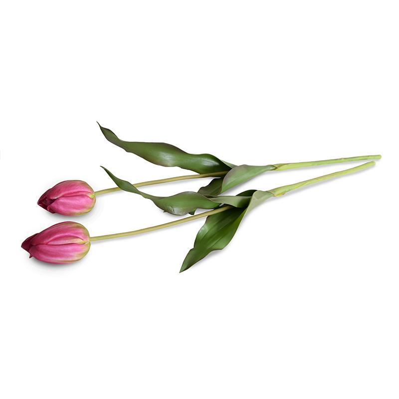 Tulip Stem, French (Duplicate)