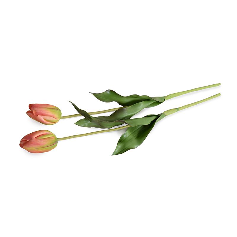 Tulip Stem, French (Duplicate)