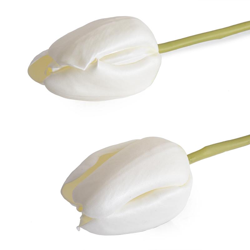 Tulip Stem, French (Duplicate)