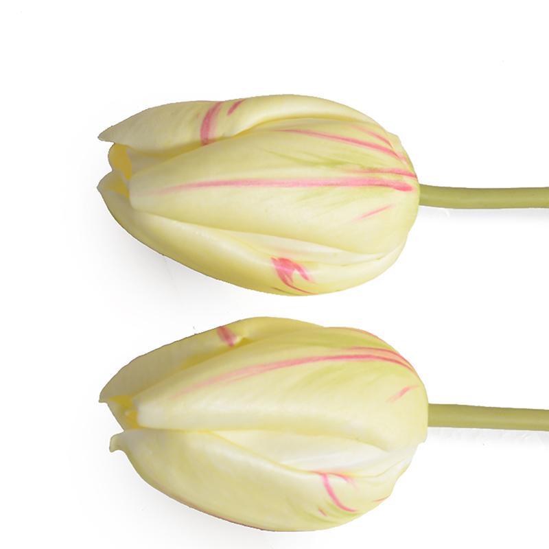 Tulip Stem, French (Duplicate)