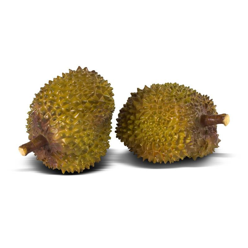 Durian - New Growth Designs