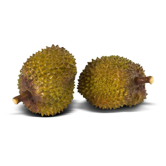Durian - New Growth Designs