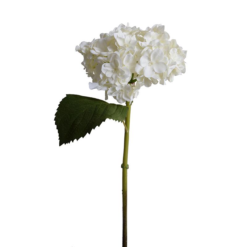 Hydrangea Flower Stem