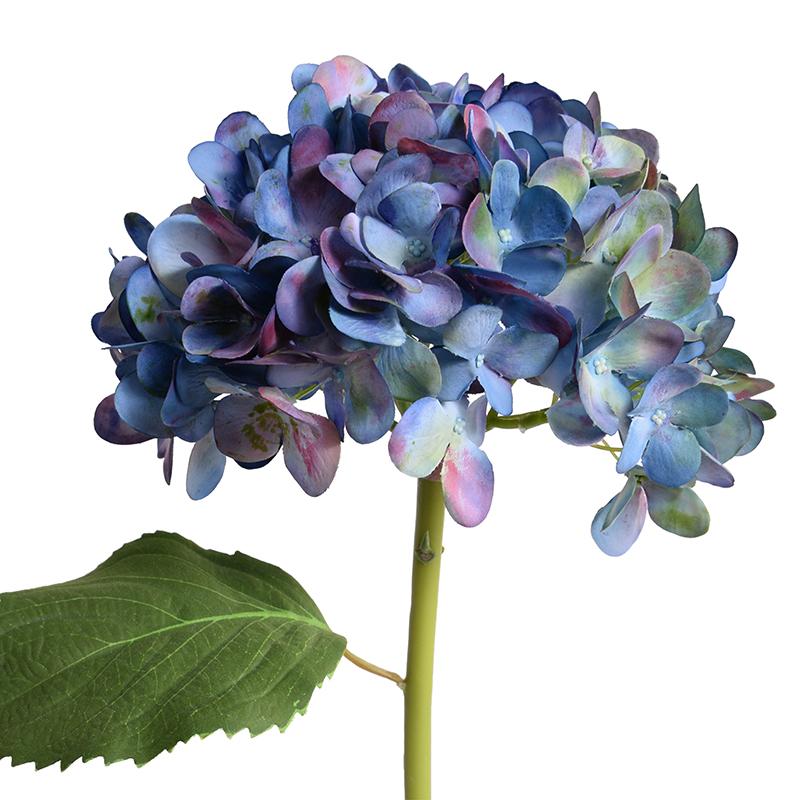 Hydrangea Stem