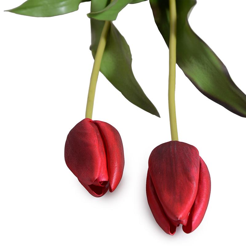 Tulip Stem, Dutch (Duplicate)