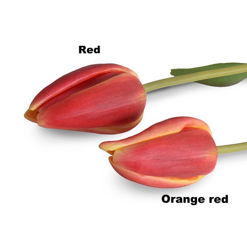 Tulip Stem, Dutch (Duplicate)