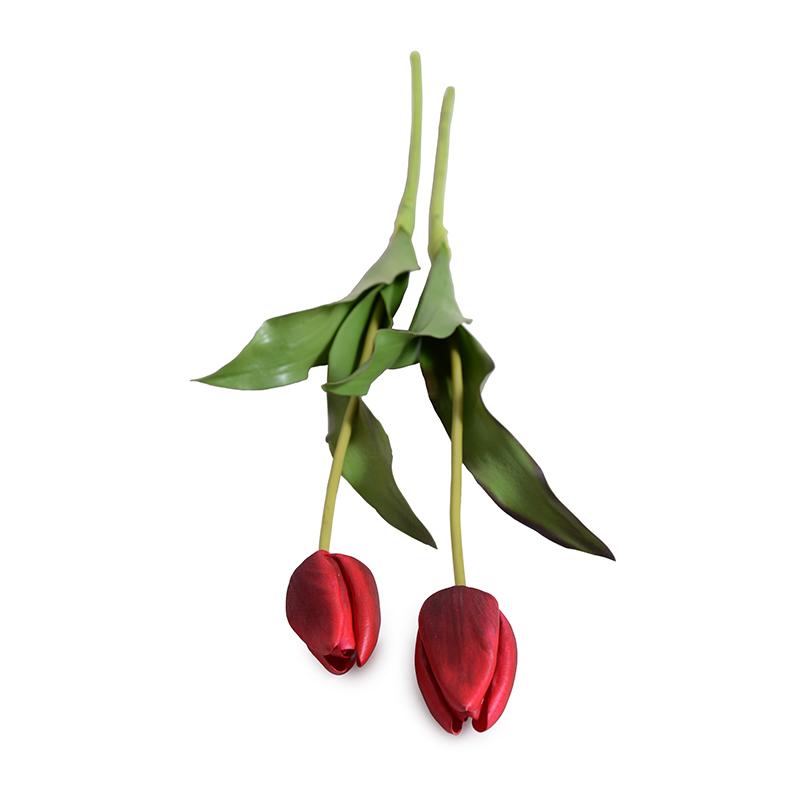 Tulip Stem, Dutch (Duplicate)